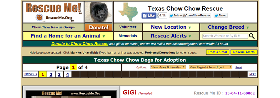rescue me chow chow